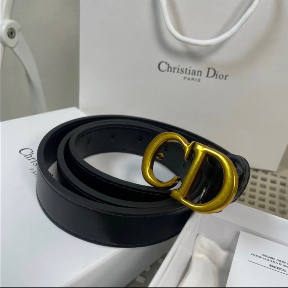 Dior saddle belt
